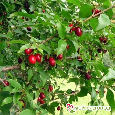 Выбор места для посадки